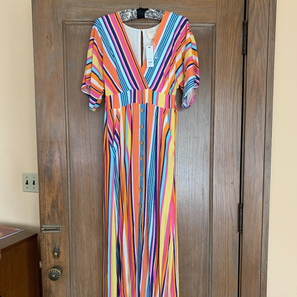 Boldly Striped Francesca's Harper Heritage Maxi Dress S